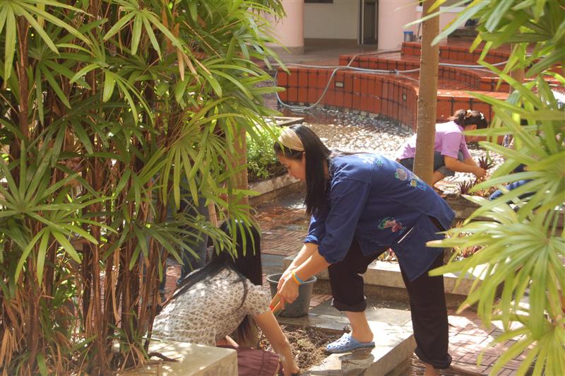 ../Picture/2552/DSC_0063 (Medium).JPG